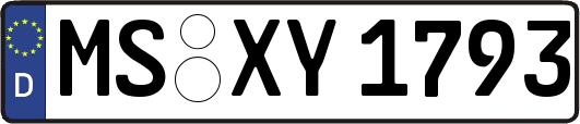 MS-XY1793