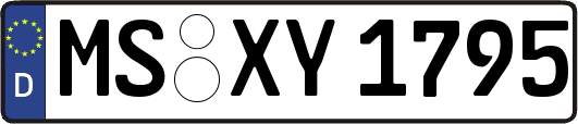MS-XY1795