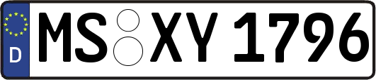 MS-XY1796