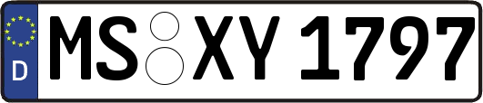 MS-XY1797