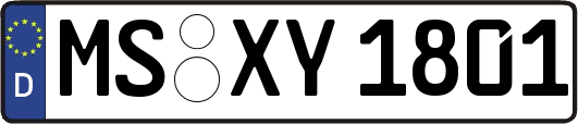 MS-XY1801