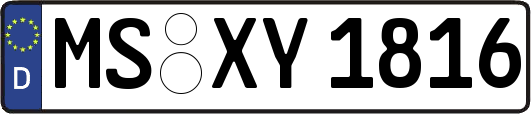 MS-XY1816