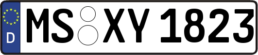 MS-XY1823
