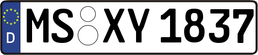 MS-XY1837