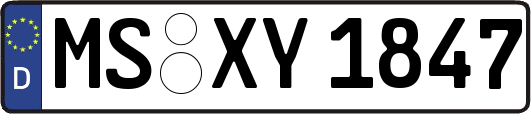MS-XY1847