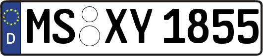 MS-XY1855