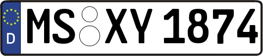 MS-XY1874