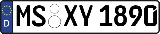 MS-XY1890