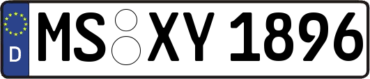 MS-XY1896