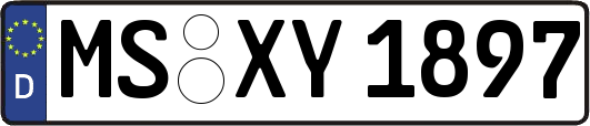 MS-XY1897