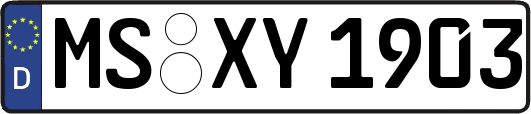 MS-XY1903