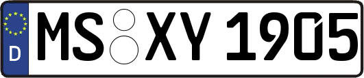 MS-XY1905