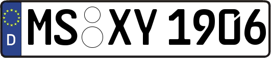 MS-XY1906