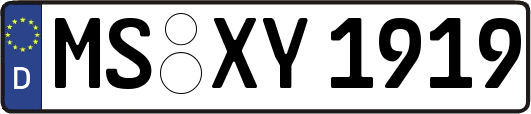 MS-XY1919