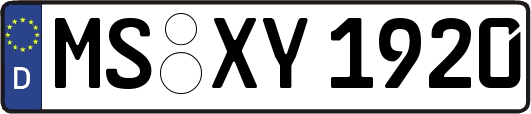 MS-XY1920