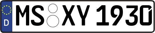 MS-XY1930