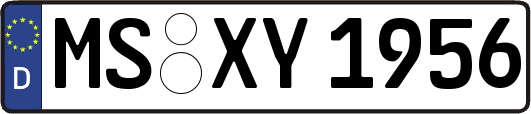 MS-XY1956