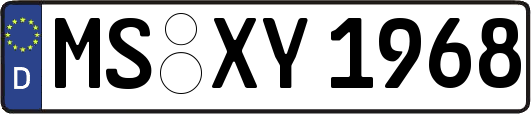 MS-XY1968