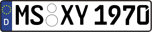 MS-XY1970