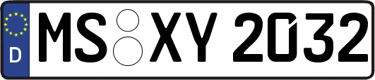 MS-XY2032