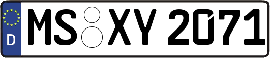 MS-XY2071