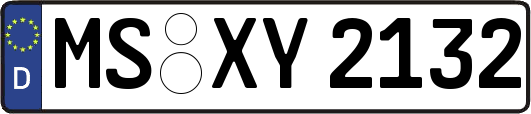 MS-XY2132
