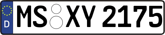 MS-XY2175