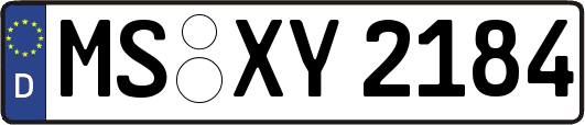 MS-XY2184