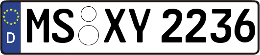MS-XY2236