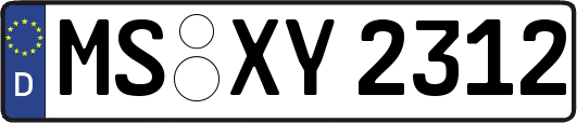 MS-XY2312