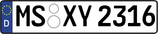MS-XY2316