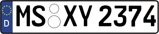 MS-XY2374