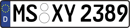 MS-XY2389