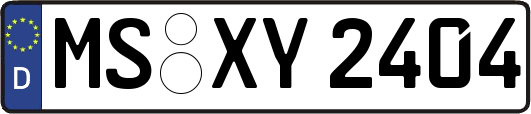 MS-XY2404
