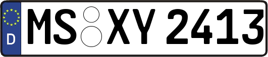 MS-XY2413