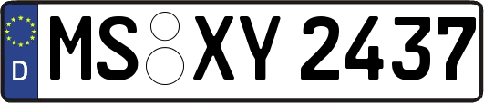 MS-XY2437