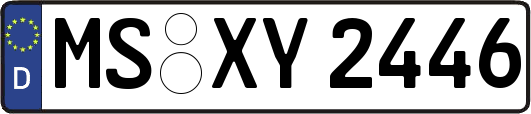 MS-XY2446
