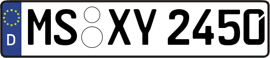 MS-XY2450