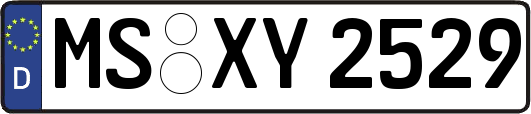 MS-XY2529