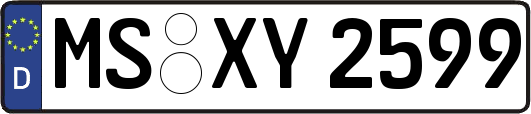 MS-XY2599