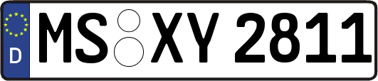 MS-XY2811