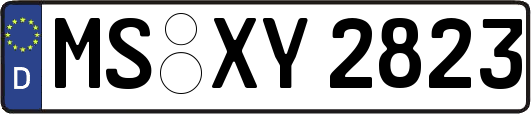 MS-XY2823