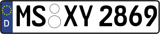 MS-XY2869