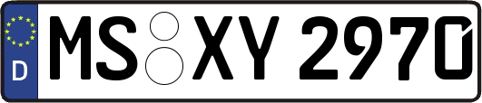 MS-XY2970