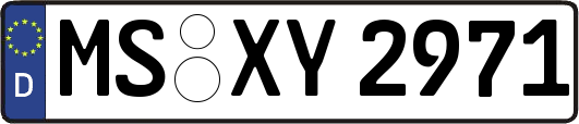 MS-XY2971