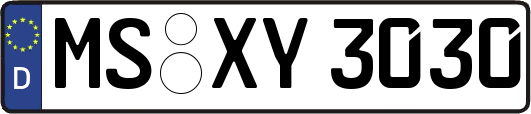 MS-XY3030