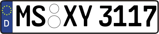 MS-XY3117