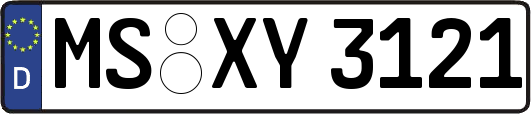 MS-XY3121