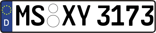 MS-XY3173