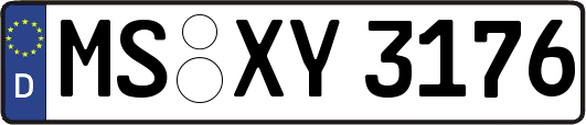 MS-XY3176